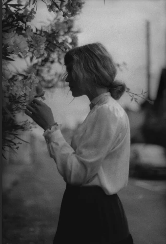 Image © Gabrielle Duplantier, Wild Rose, 2024