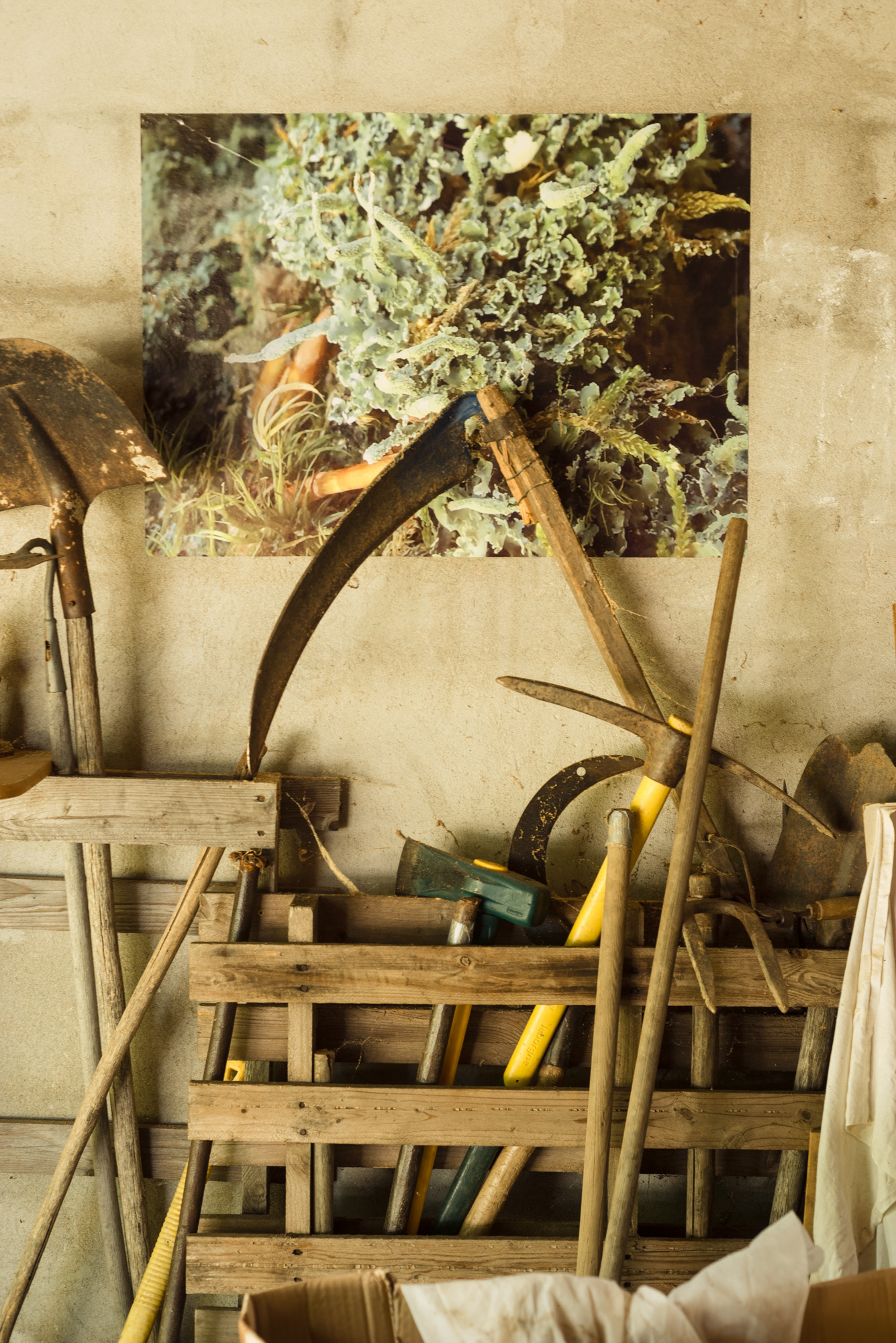 MP Preview Site Web 11